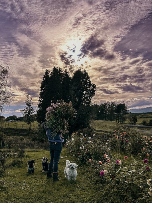 The Wildstyler Story: How Flowers, Photography & Grief Grew Something Wild