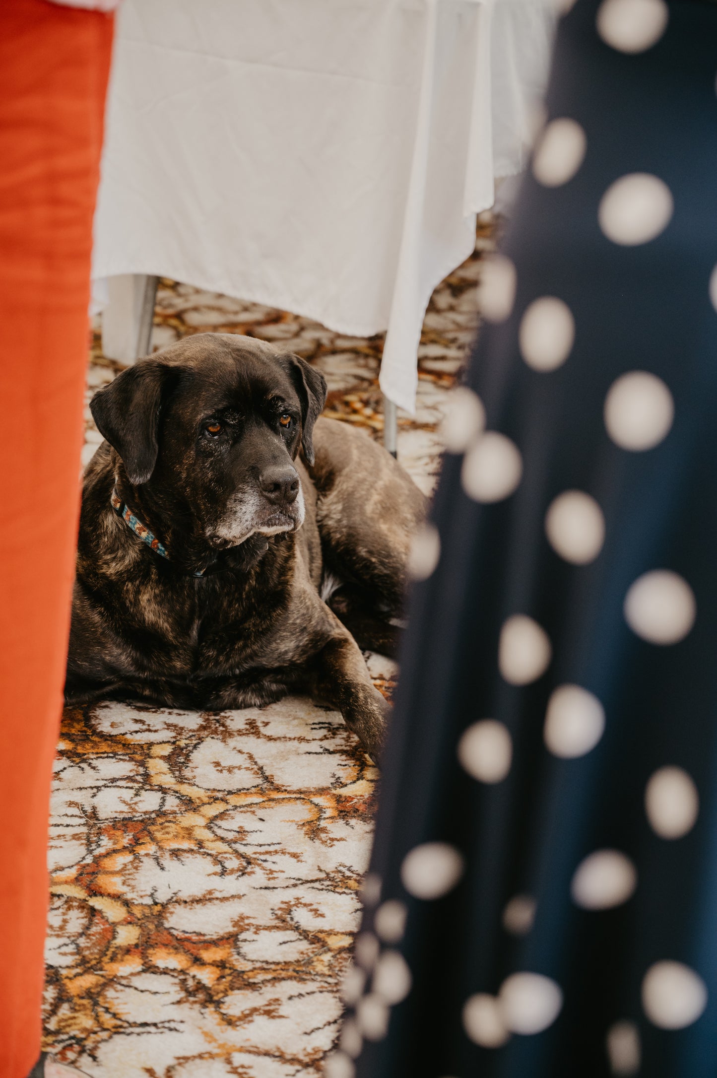 Wedding Photography Packages