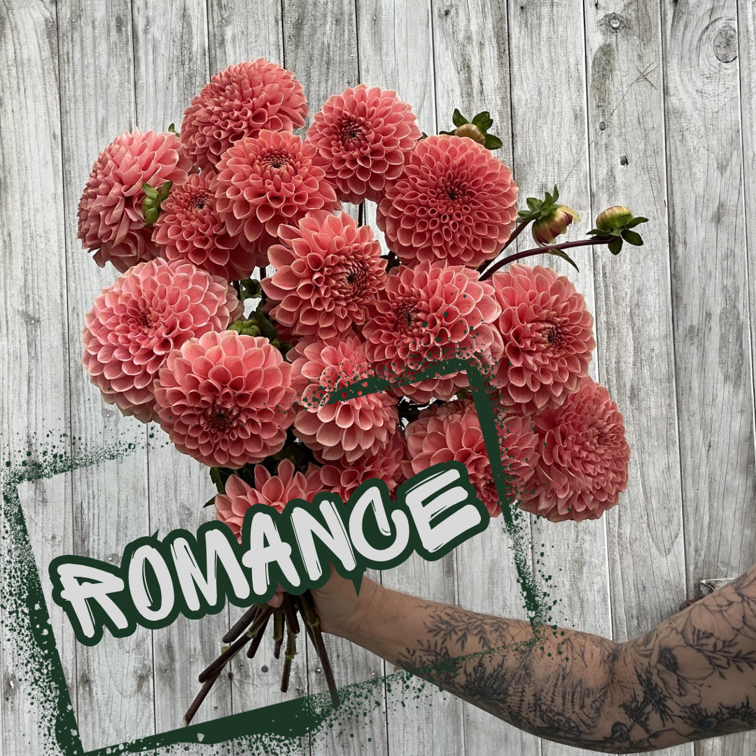 Bouquet of salmon pink flowers with a tattooed arm holding it against a wooden background, labeled 'ROMANCE'.